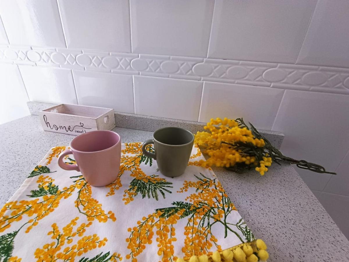 Mimosa Home Talavera de la Reina Bagian luar foto